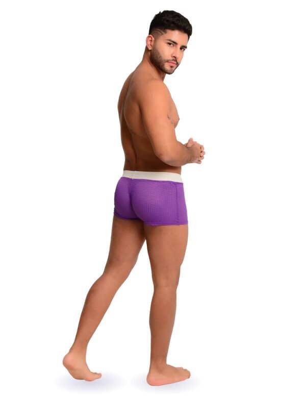 Short en Malla - Imagen 2