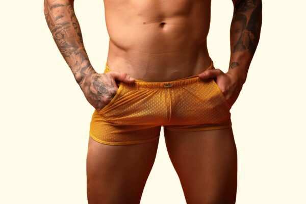 Short transparente con bolsillos