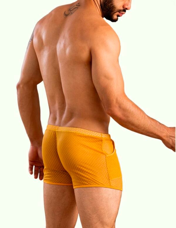 Short transparente con bolsillos